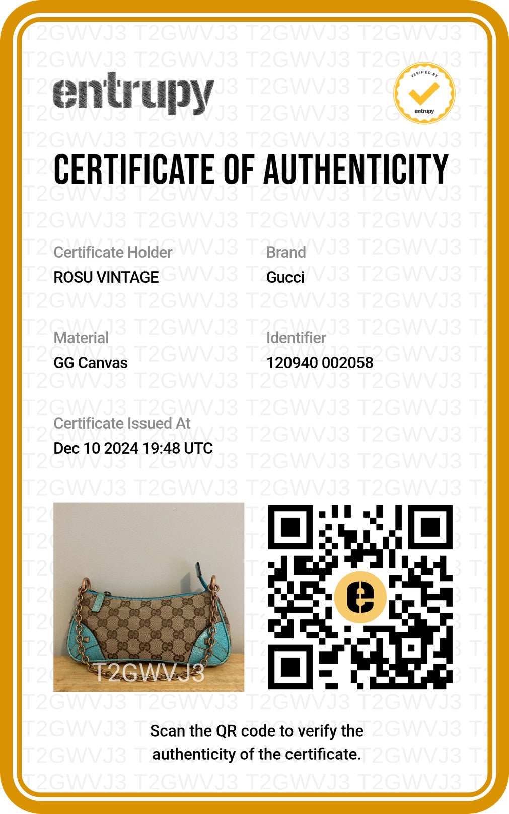 Gucci GG Canvas Leather Chain Hand Bag